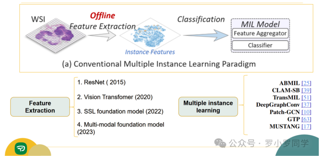 Zero-Code Pathology AI Tool