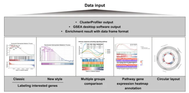 Overview of the GseaVis gene set enrichment visualization workflow