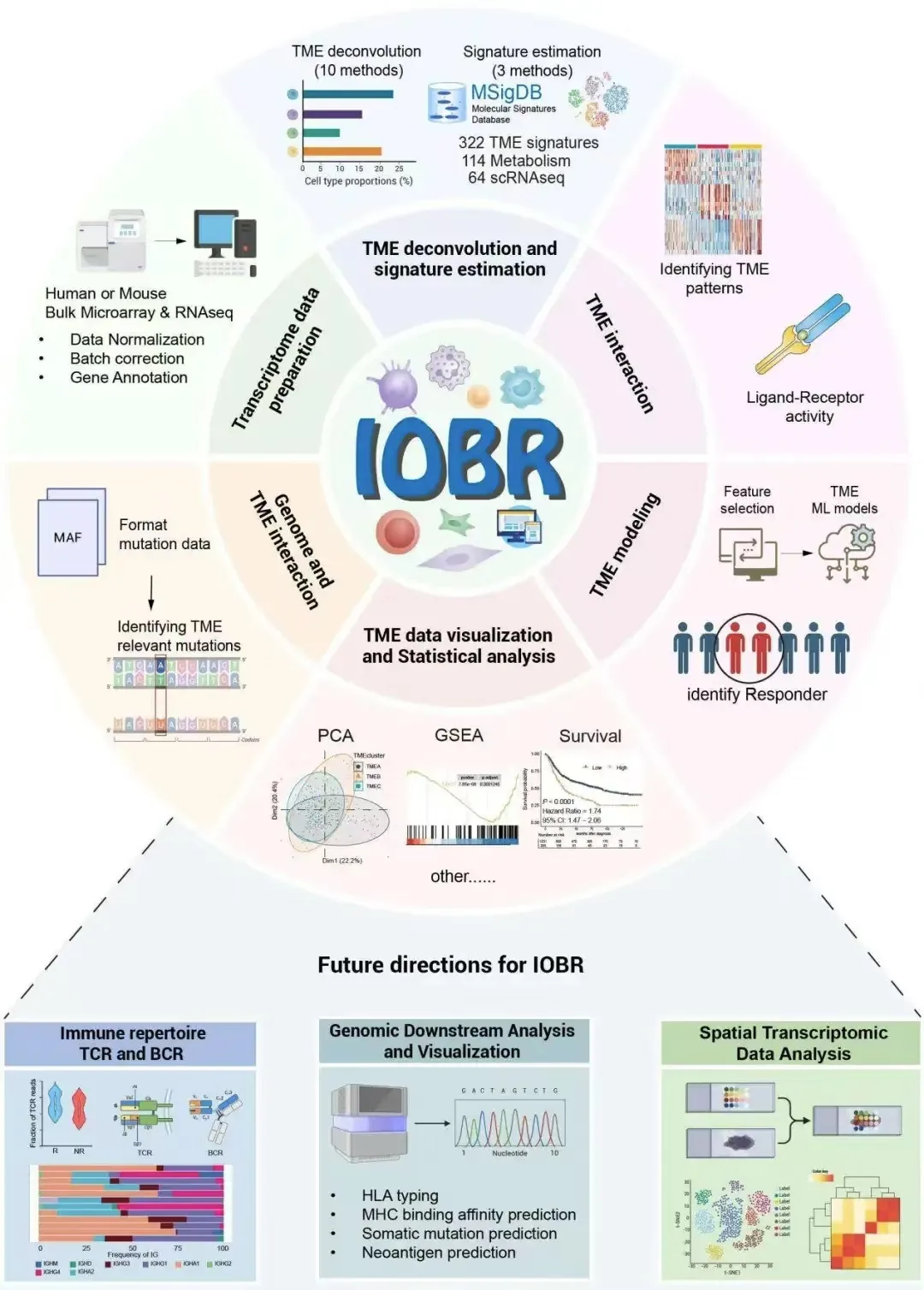 IOBR workflow for tumor microenvironment and antitumor immunity analysis